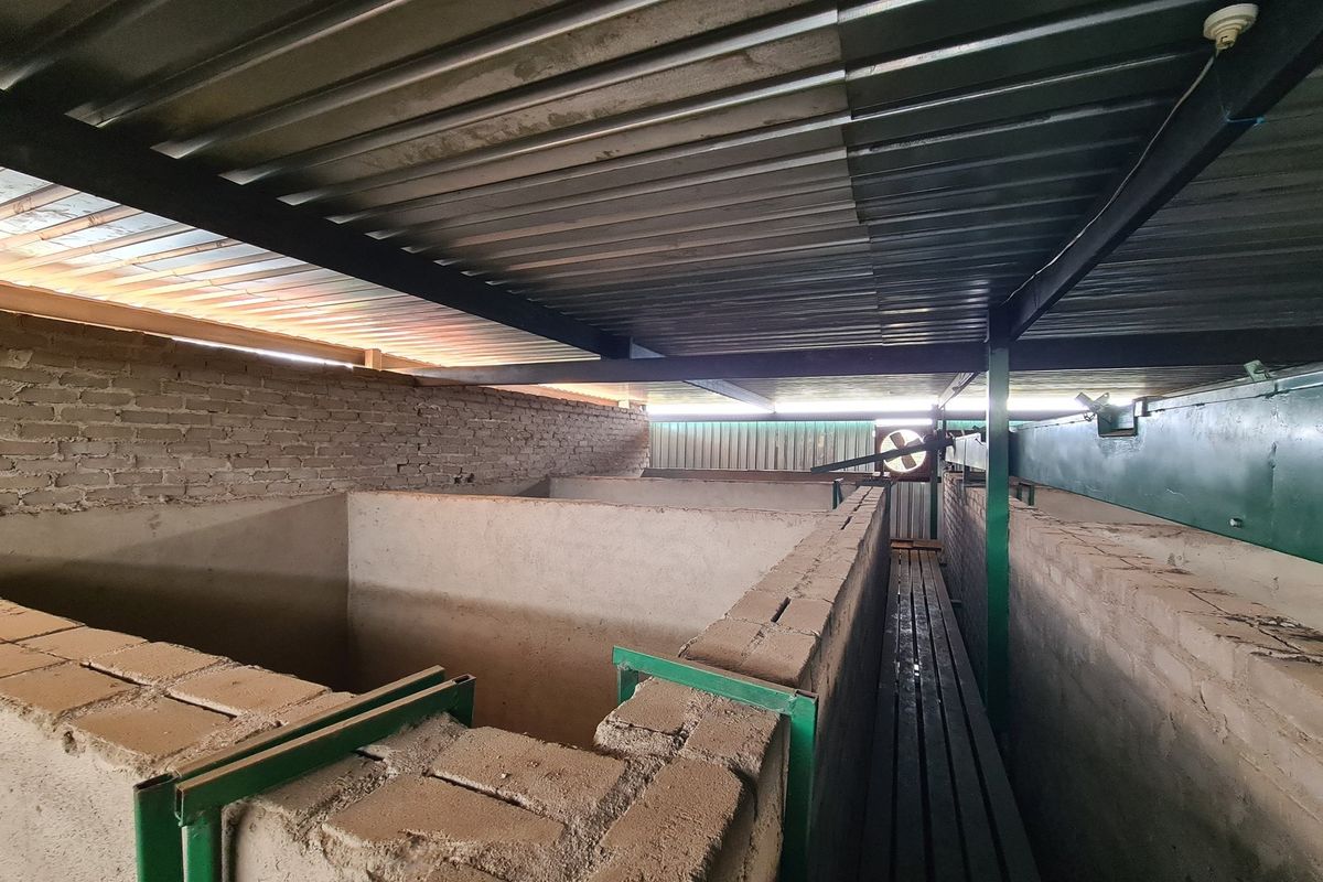 Macadamia Farm for Sale in Kiepersol Valley 76Ha  near Hazyview, Mpumalanga - High-Yield Investment - Photo 4