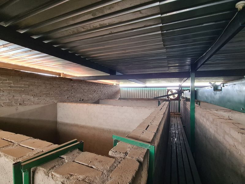 Macadamia Farm for Sale in Kiepersol Valley 76Ha  near Hazyview, Mpumalanga - High-Yield Investment - Photo 4