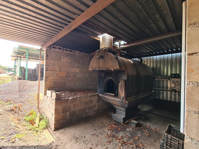 Macadamia Farm for Sale in Kiepersol Valley 76Ha  near Hazyview, Mpumalanga - High-Yield Investment - Photo 5