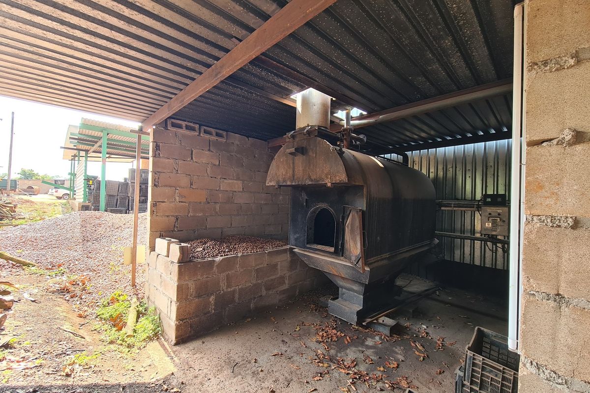 Macadamia Farm for Sale in Kiepersol Valley 76Ha  near Hazyview, Mpumalanga - High-Yield Investment - Photo 5