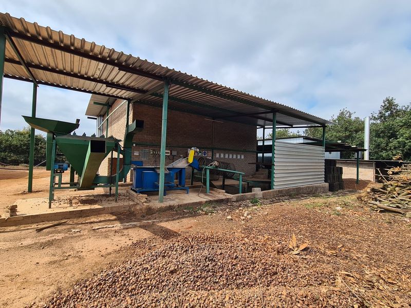 Macadamia Farm for Sale in Kiepersol Valley 76Ha  near Hazyview, Mpumalanga - High-Yield Investment - Photo 3