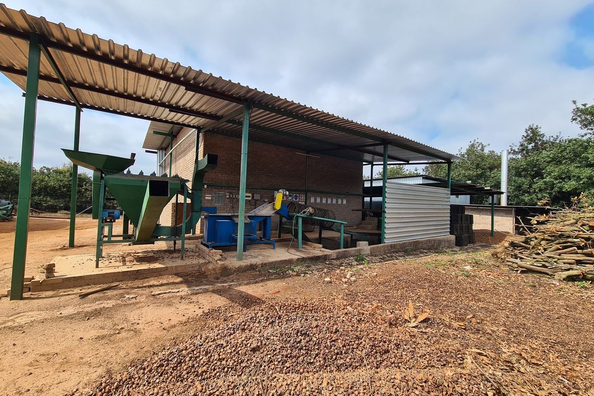 Macadamia Farm for Sale in Kiepersol Valley 76Ha  near Hazyview, Mpumalanga - High-Yield Investment - Photo 3