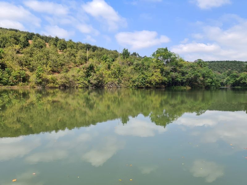 Macadamia Farm for Sale in Kiepersol Valley 76Ha  near Hazyview, Mpumalanga - High-Yield Investment - Photo 1