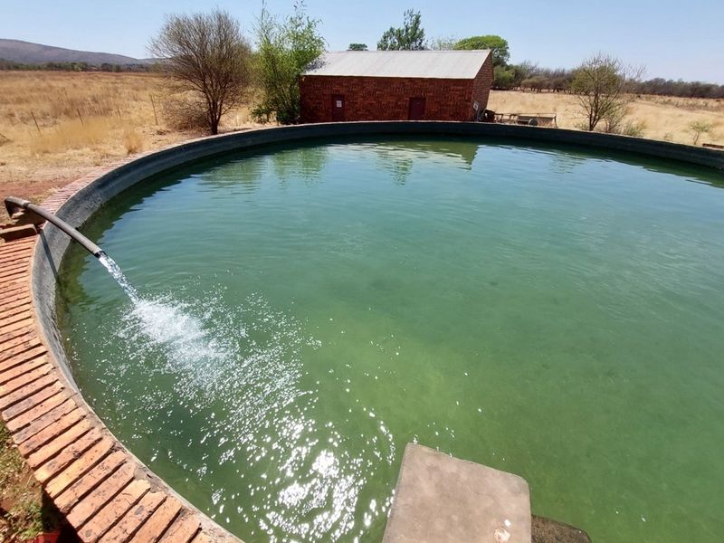 Agricultural smallholding with an abundance of water for sale near Bela Bela - Photo 3