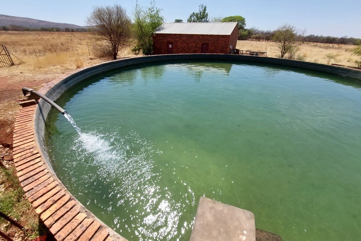 Agricultural smallholding with an abundance of water for sale near Bela Bela - Photo 3
