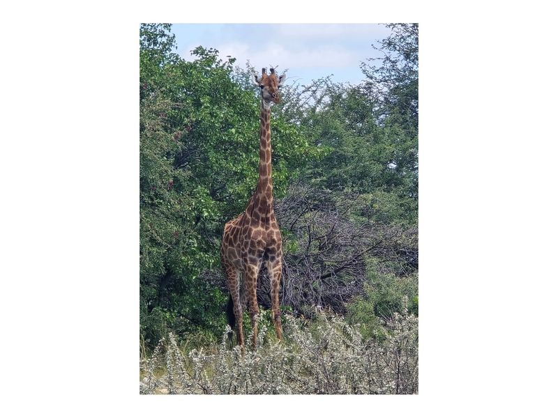 Private Nature Reserve - Photo 3