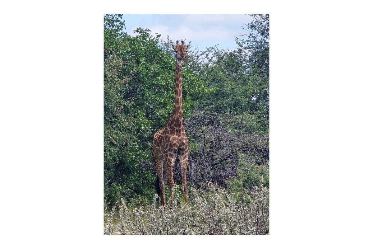 Private Nature Reserve - Photo 3