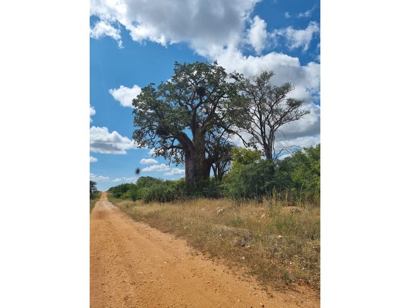 Private Nature Reserve - Photo 2