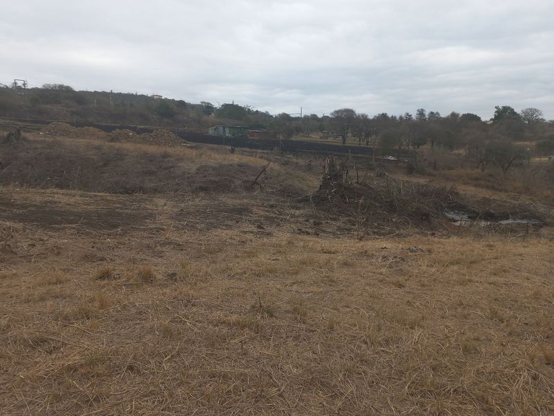 BUILD YOUR OWN DREAM HOUSE IN ASHBURTON - Photo 6