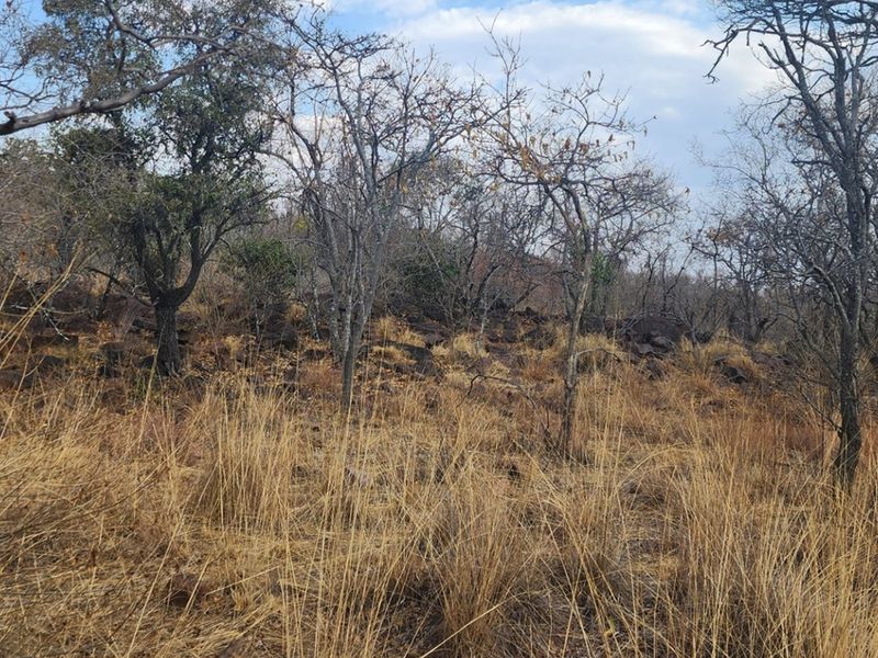 Vacant Stand with Approved Plans - Verloren Estate, Waterberg - Photo 4