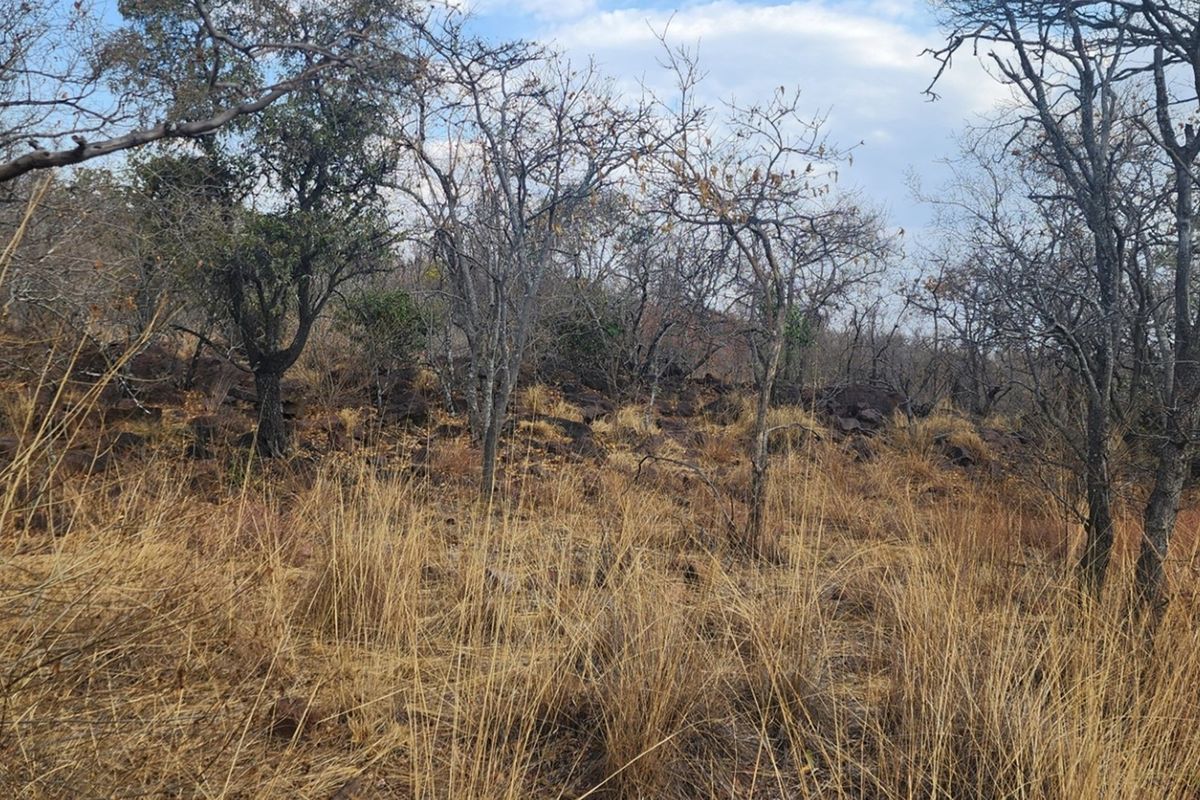 Vacant Stand with Approved Plans - Verloren Estate, Waterberg - Photo 4