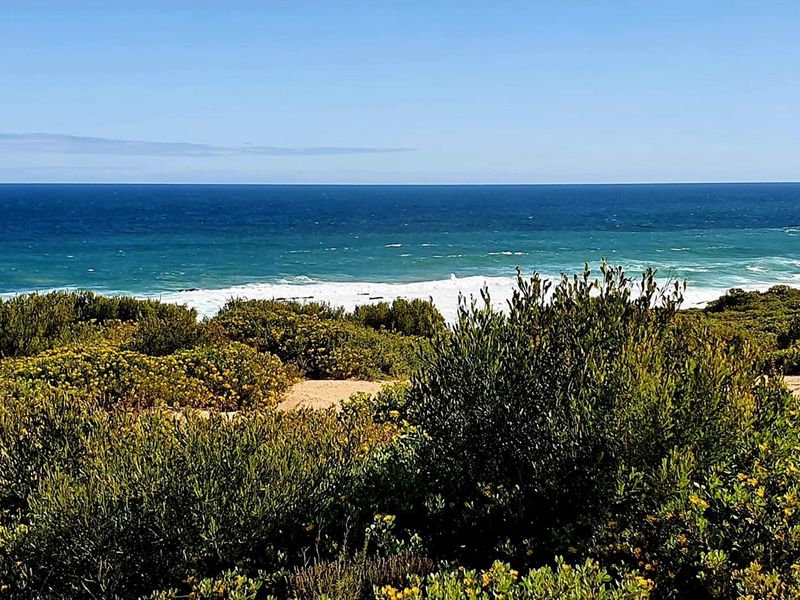 Build Your Coastal Dream Home on this Prime stand - Photo 6