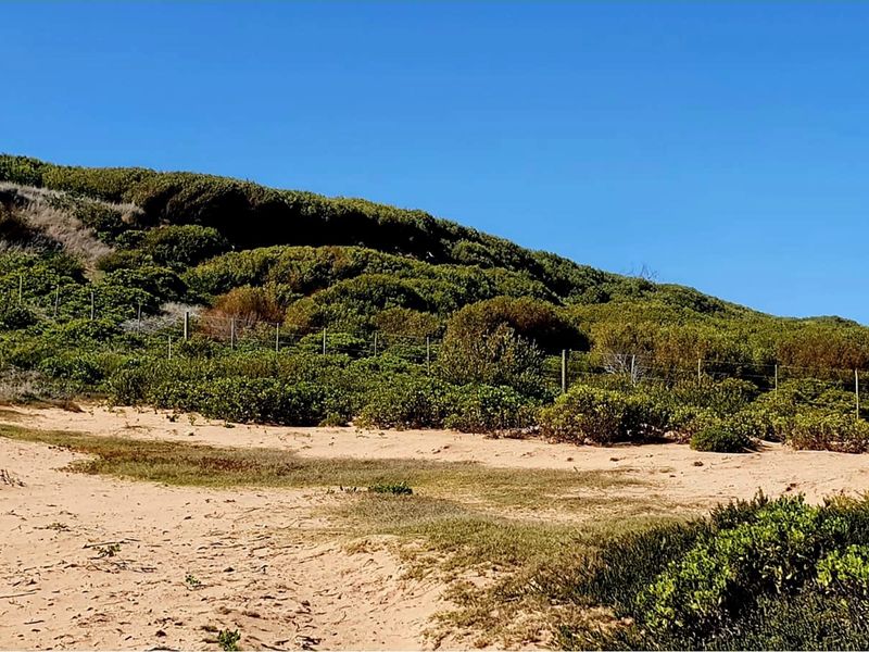 Build Your Coastal Dream Home on this Prime stand - Photo 5