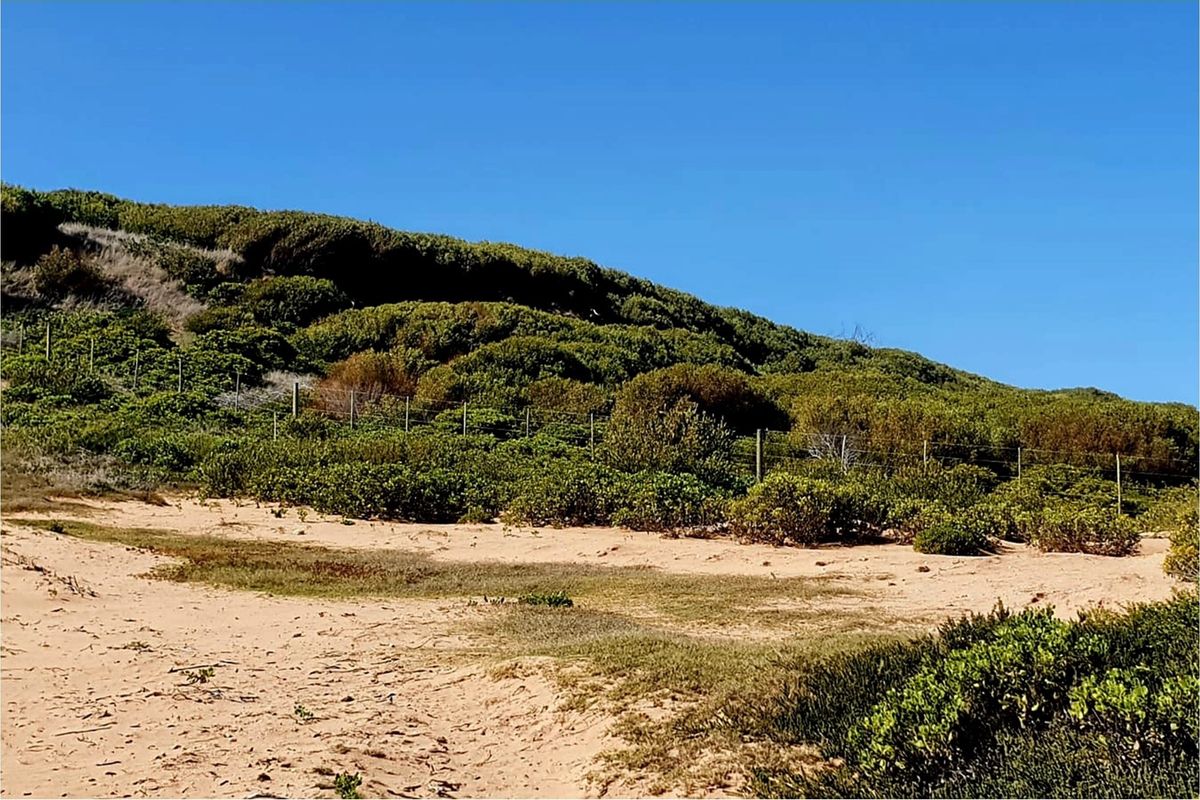 Build Your Coastal Dream Home on this Prime stand - Photo 5