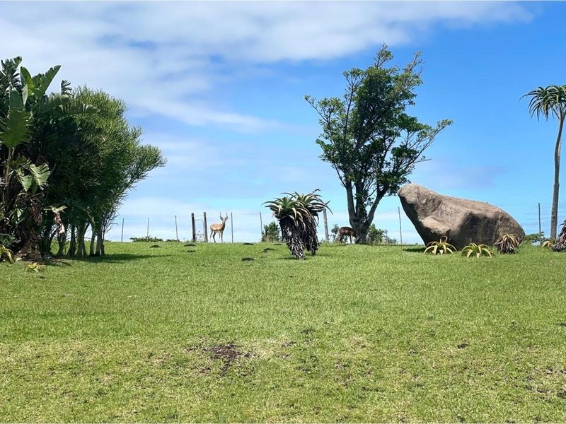 1105m2 Plot at Khamanga Bay - Serene Country Coastal Living - Photo 9