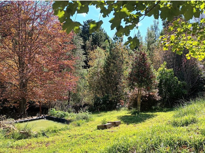 HOUSE FOR SALE - HOGSBACK - Photo 4