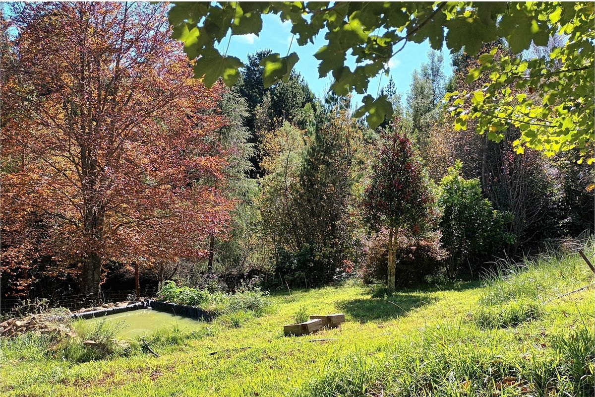 HOUSE FOR SALE - HOGSBACK - Photo 4