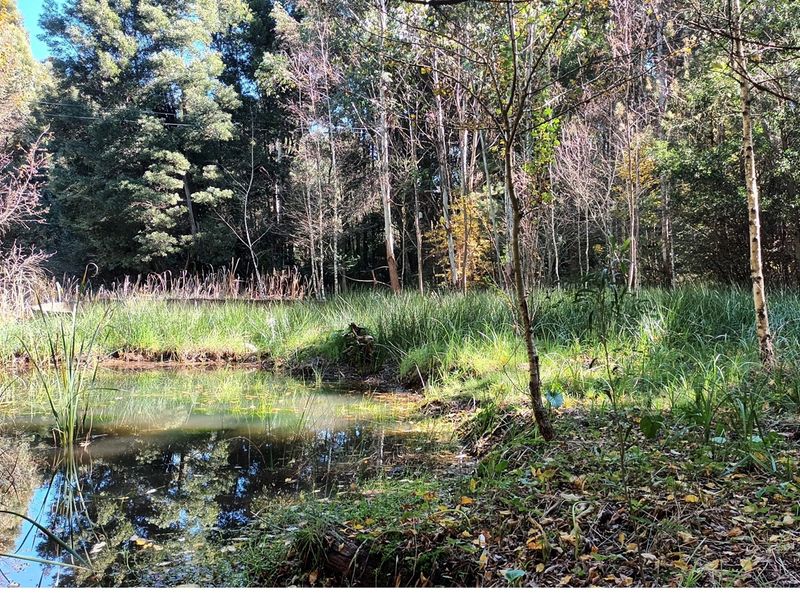 HOUSE FOR SALE - HOGSBACK - Photo 9