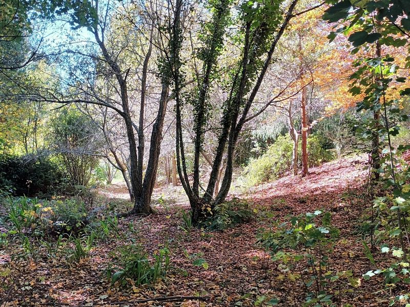 HOUSE FOR SALE - HOGSBACK - Photo 8