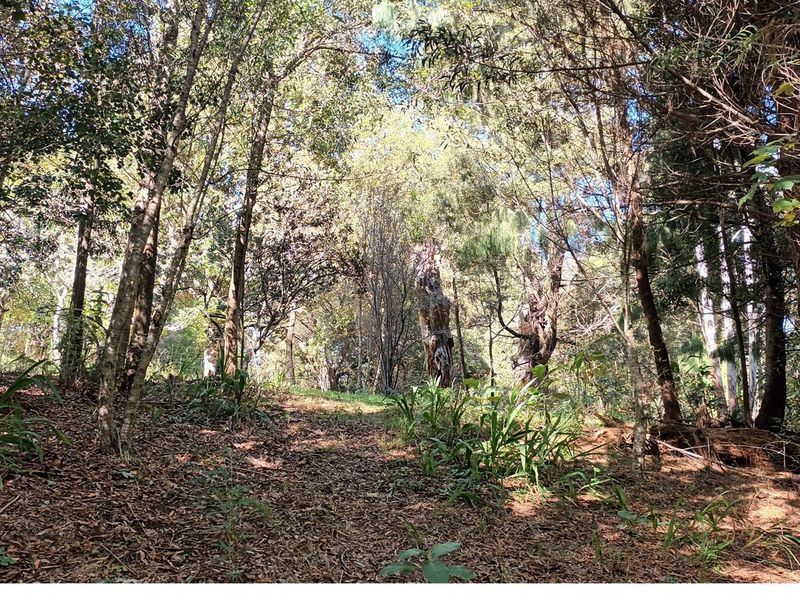 HOUSE FOR SALE - HOGSBACK - Photo 7