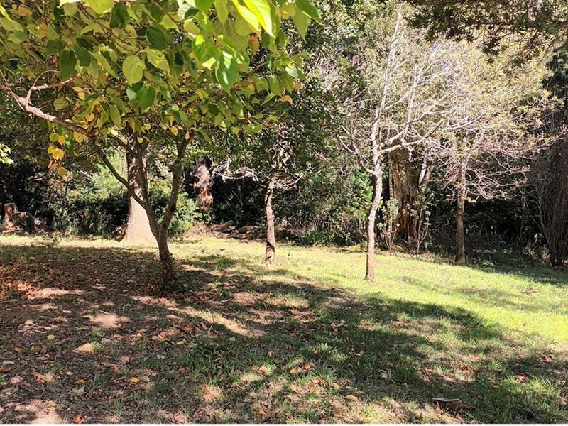 HOUSE FOR SALE - HOGSBACK - Photo 5