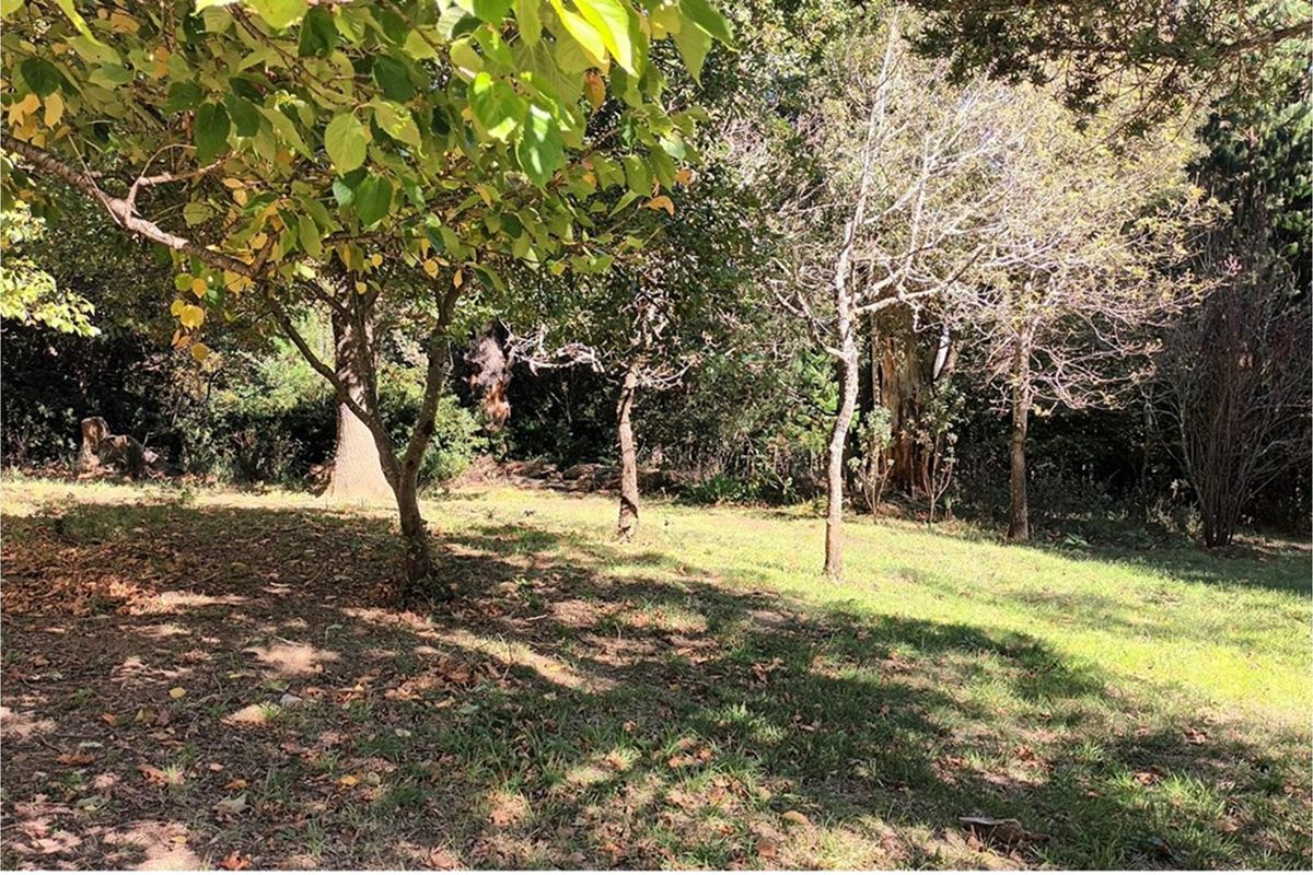 HOUSE FOR SALE - HOGSBACK - Photo 5