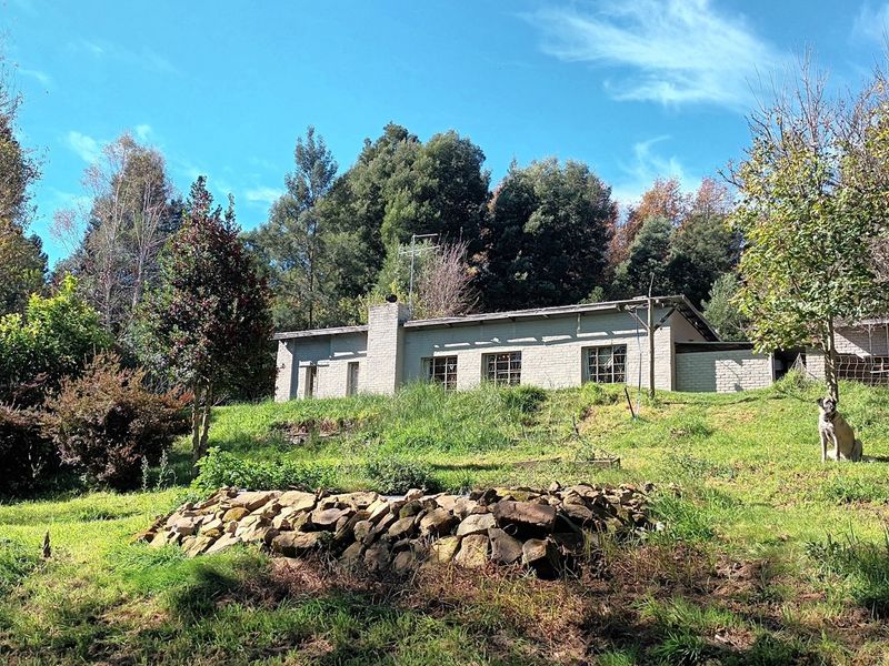HOUSE FOR SALE - HOGSBACK - Photo 3