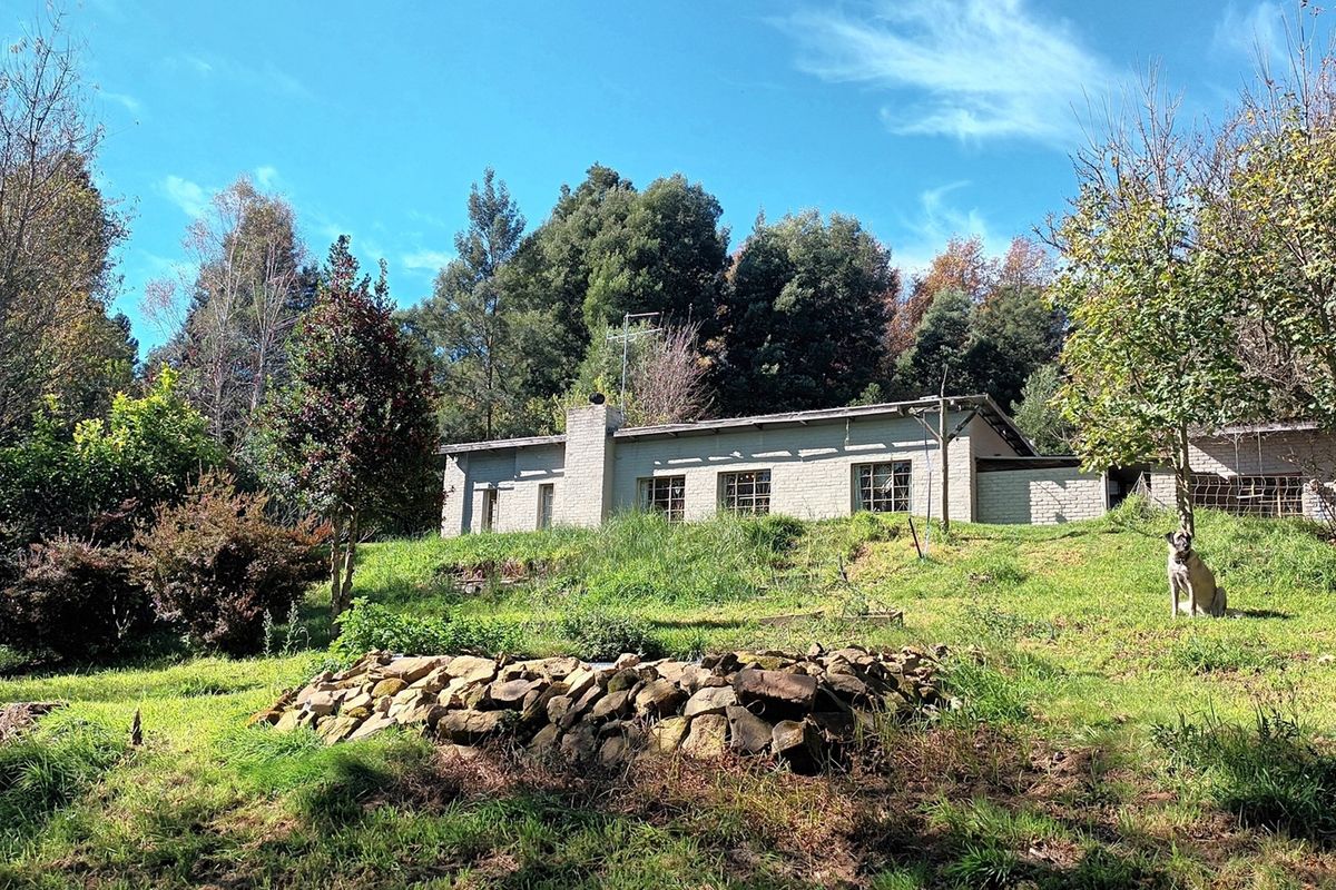 HOUSE FOR SALE - HOGSBACK - Photo 3