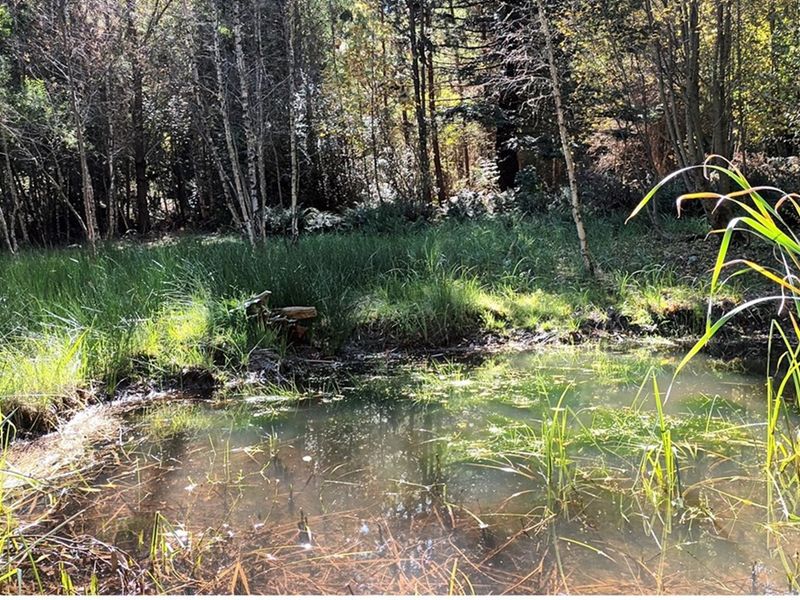 HOUSE FOR SALE - HOGSBACK - Photo 10