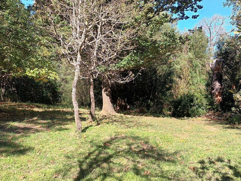 HOUSE FOR SALE - HOGSBACK - Photo 6