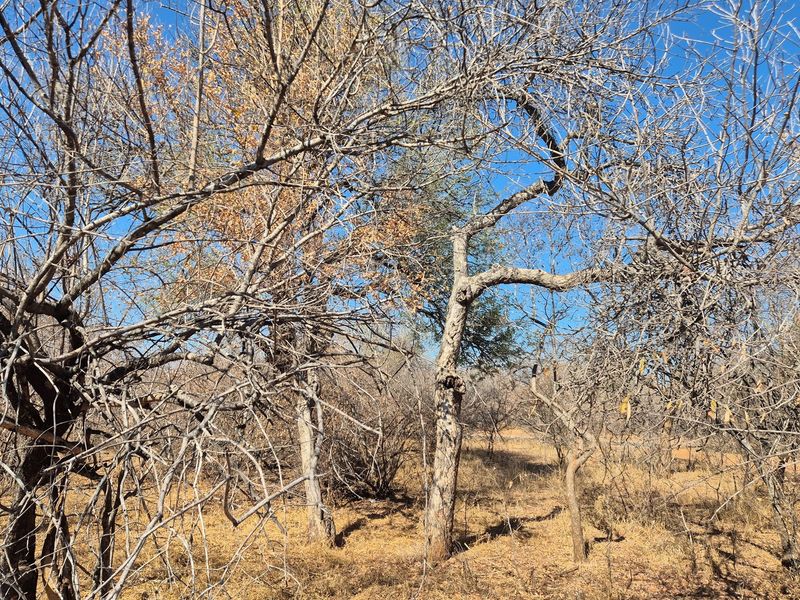 Plot and Plan option available in Hoedspruit Wildlife Estate - Photo 8