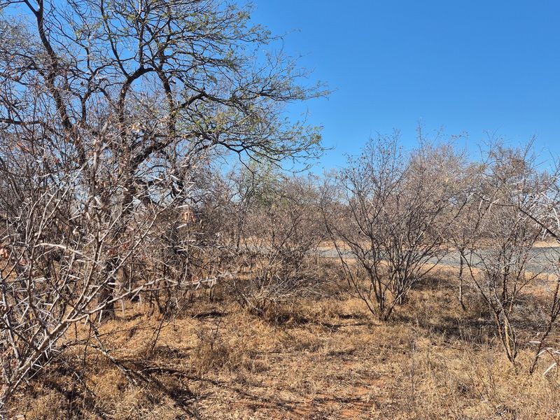 Plot and Plan option available in Hoedspruit Wildlife Estate - Photo 5