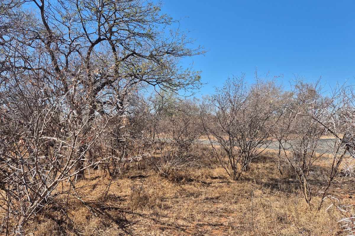 Plot and Plan option available in Hoedspruit Wildlife Estate - Photo 5