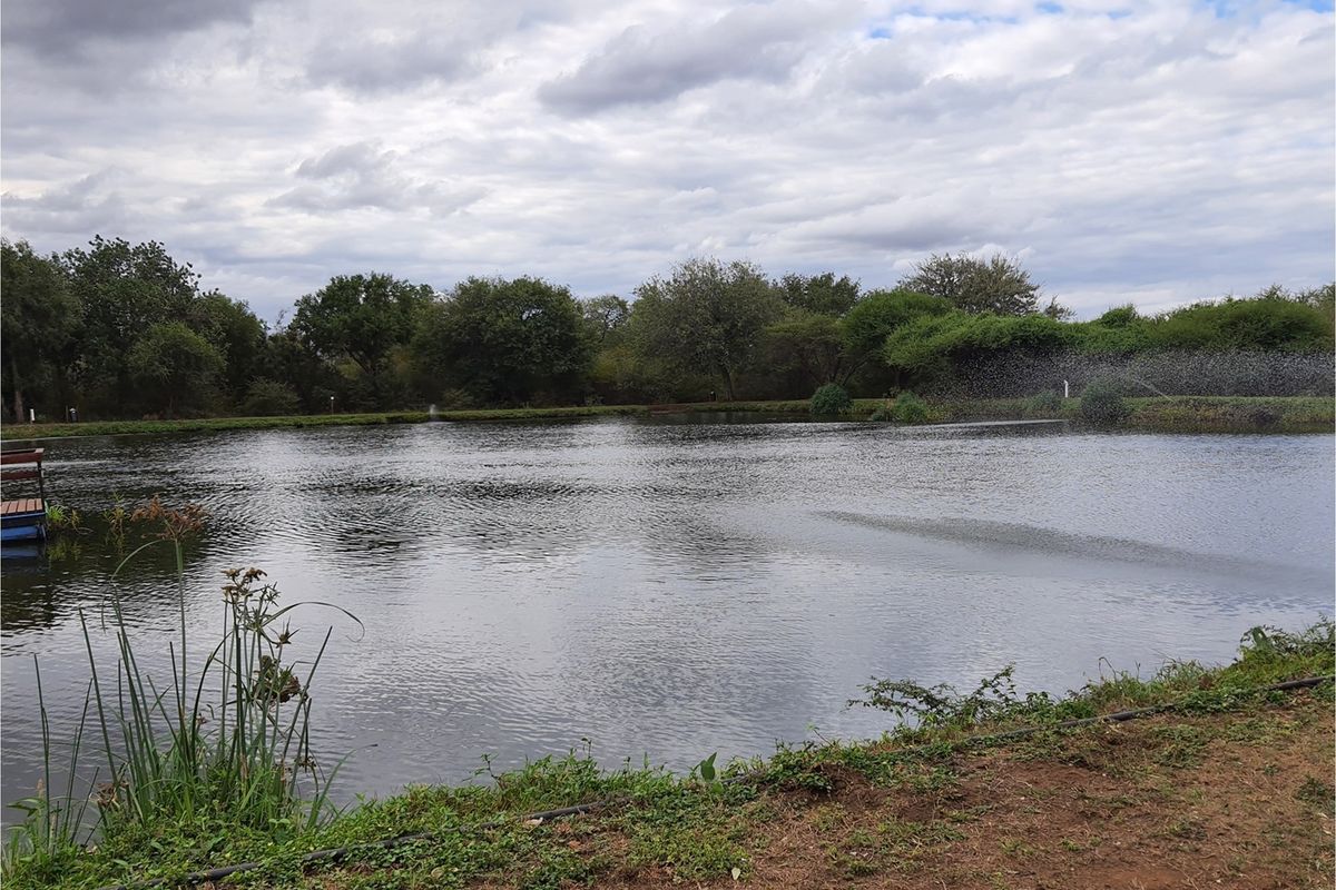 A scenic view of a tranquil lake on the residential property, featuring natural landscaping and a water fountain.