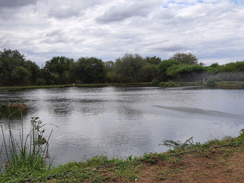 Plot and Plan option available in Hoedspruit Wildlife Estate - Photo 1