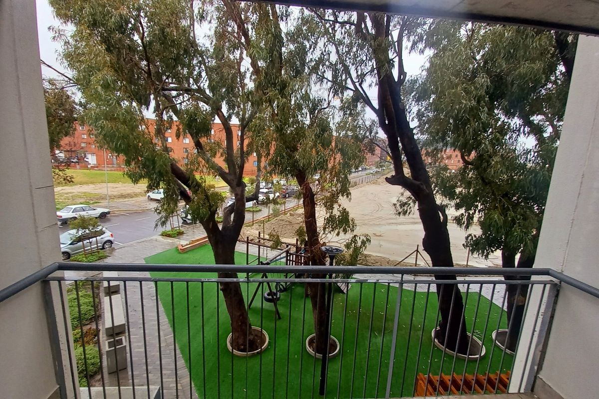 Spacious, newly built, 2 bedroom apartment available in Conradie Park Pinelands - Photo 5