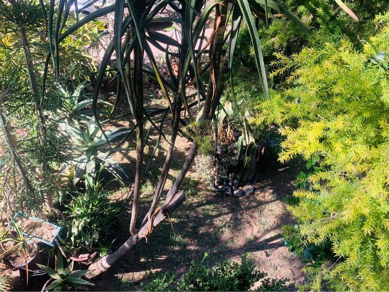 "🏡 Modern Three-Bedroom Home for Sale 🏡 - Photo 3