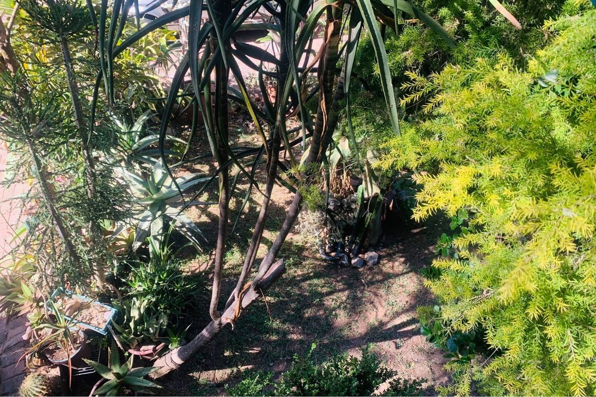 "🏡 Modern Three-Bedroom Home for Sale 🏡 - Photo 3