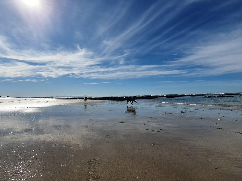 Paradise Beach cul-de-sac bliss near the sea - Photo 8