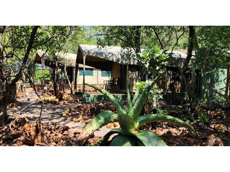 A rustic safari-style tented accommodation unit nestled within a natural wooded landscape, featuring a raised wooden deck and canvas structure.