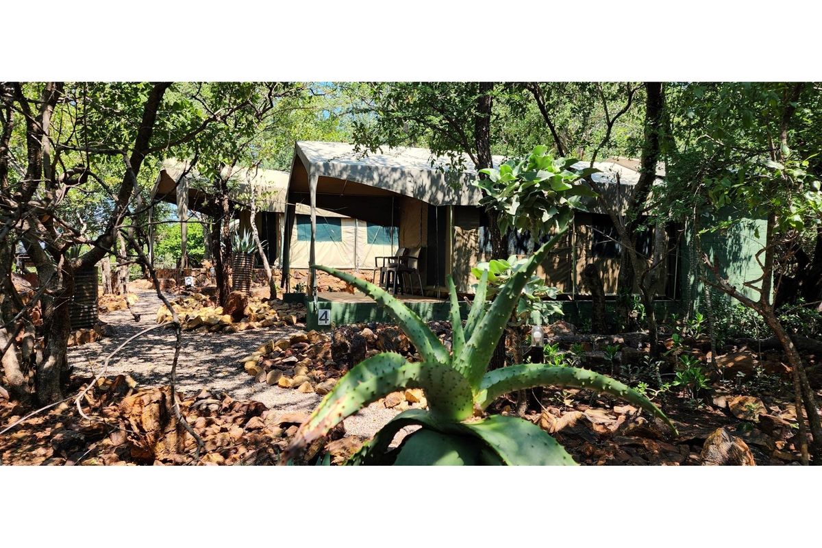 A rustic safari-style tented accommodation unit nestled within a natural wooded landscape, featuring a raised wooden deck and canvas structure.