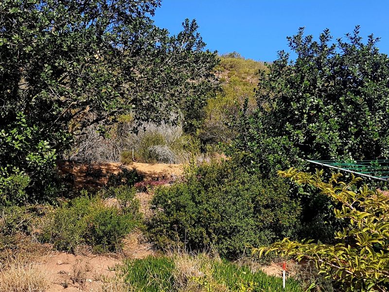 Elevated Stand with Views and Plans Included in Sought-After Estate - Photo 8