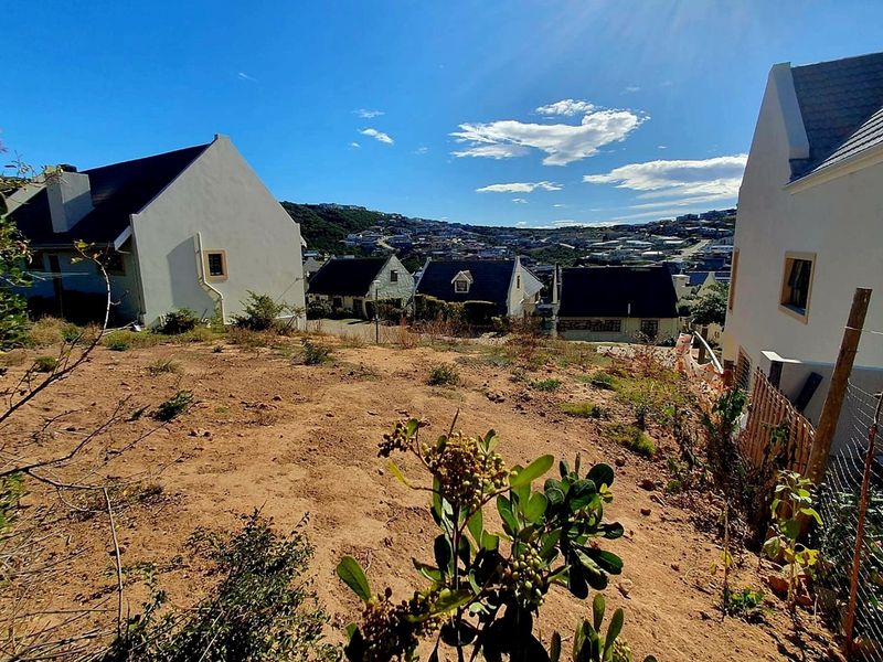 Elevated Stand with Views and Plans Included in Sought-After Estate - Photo 5