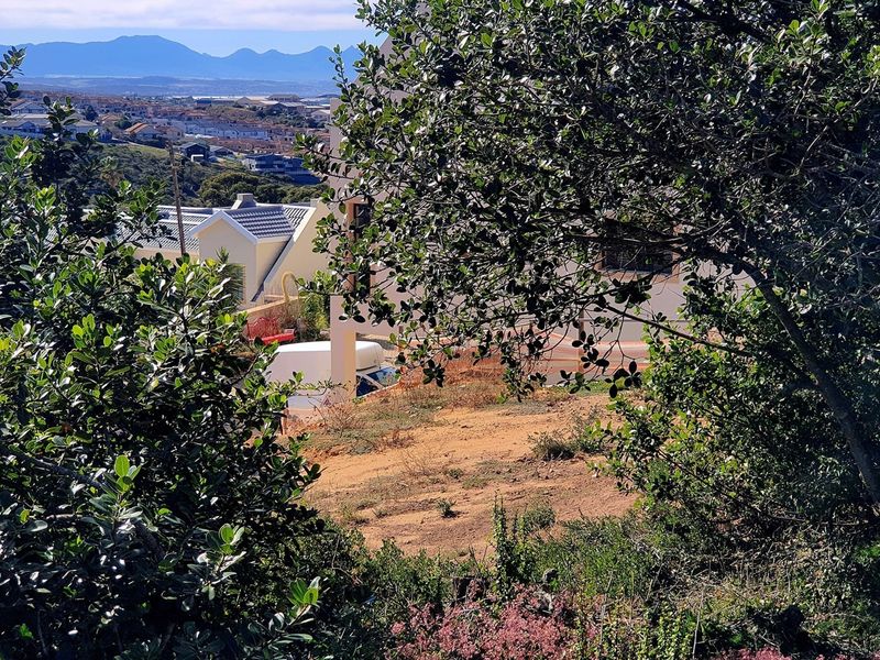 Elevated Stand with Views and Plans Included in Sought-After Estate - Photo 9