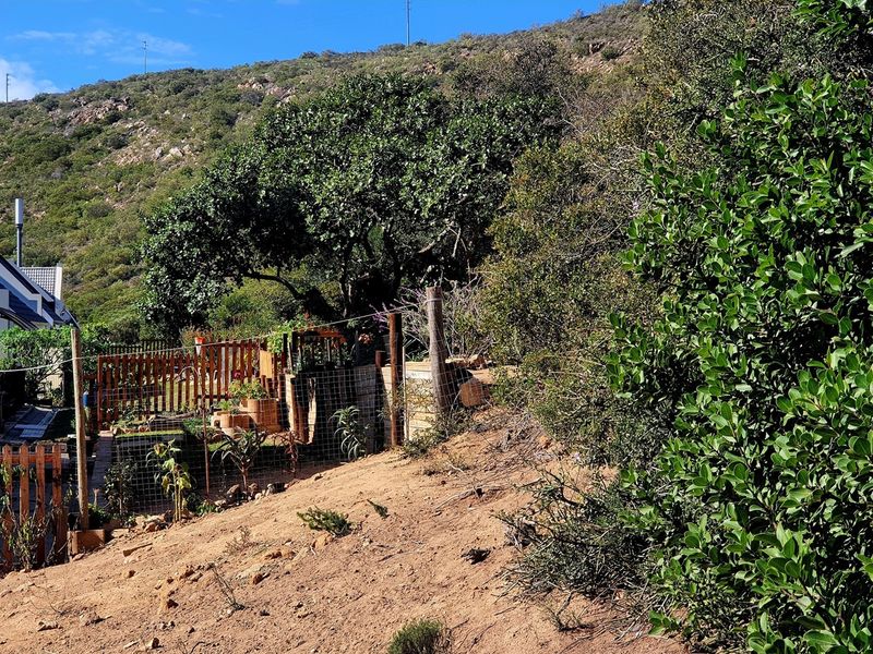 Elevated Stand with Views and Plans Included in Sought-After Estate - Photo 10