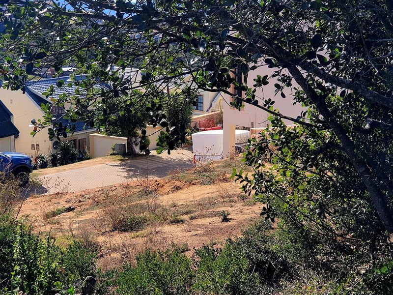 Elevated Stand with Views and Plans Included in Sought-After Estate - Photo 4