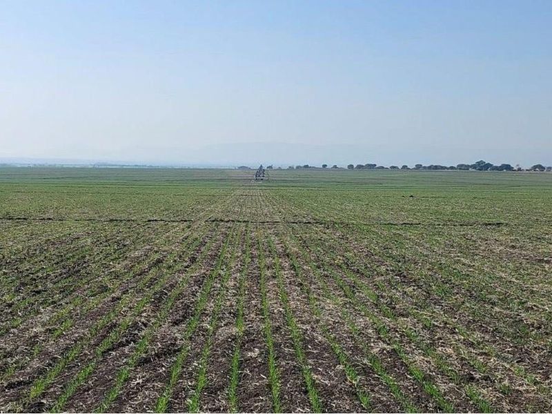 180ha Productive, well developed agricultural land, Koedoeskop - Photo 9