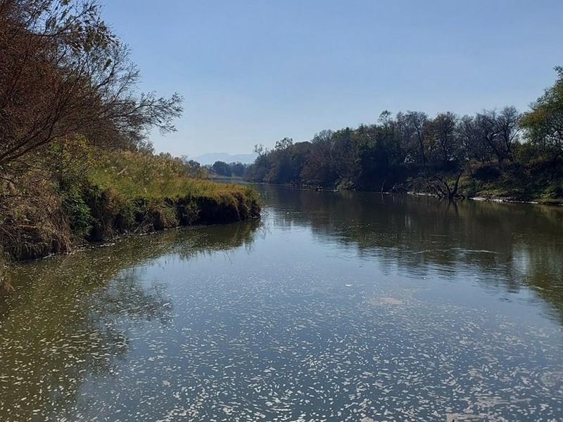 180ha Productive, well developed agricultural land, Koedoeskop - Photo 3