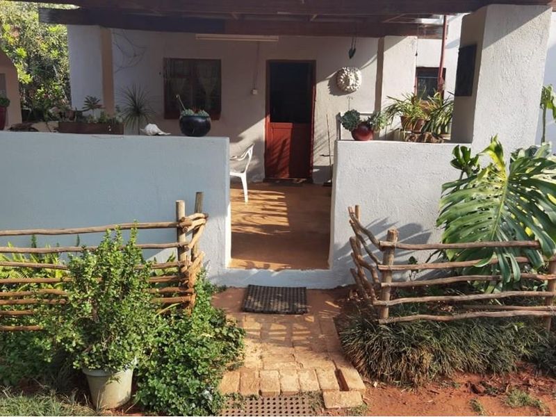 16Ha Macadamia Farm with 3 Dwelings and dam. PRICED RIGHT! - Photo 9