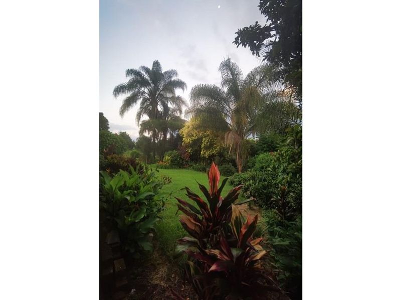 16Ha Macadamia Farm with 3 Dwelings and dam. PRICED RIGHT! - Photo 6